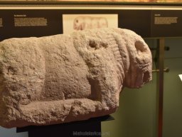 Ciudad de Elche 2022